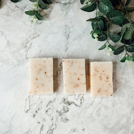 Aloe Eucalyptus Soap Bar